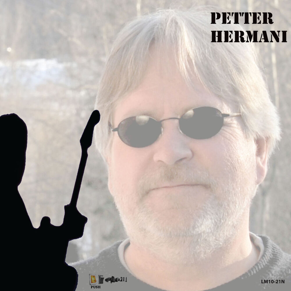 Picture of Petter Hermani