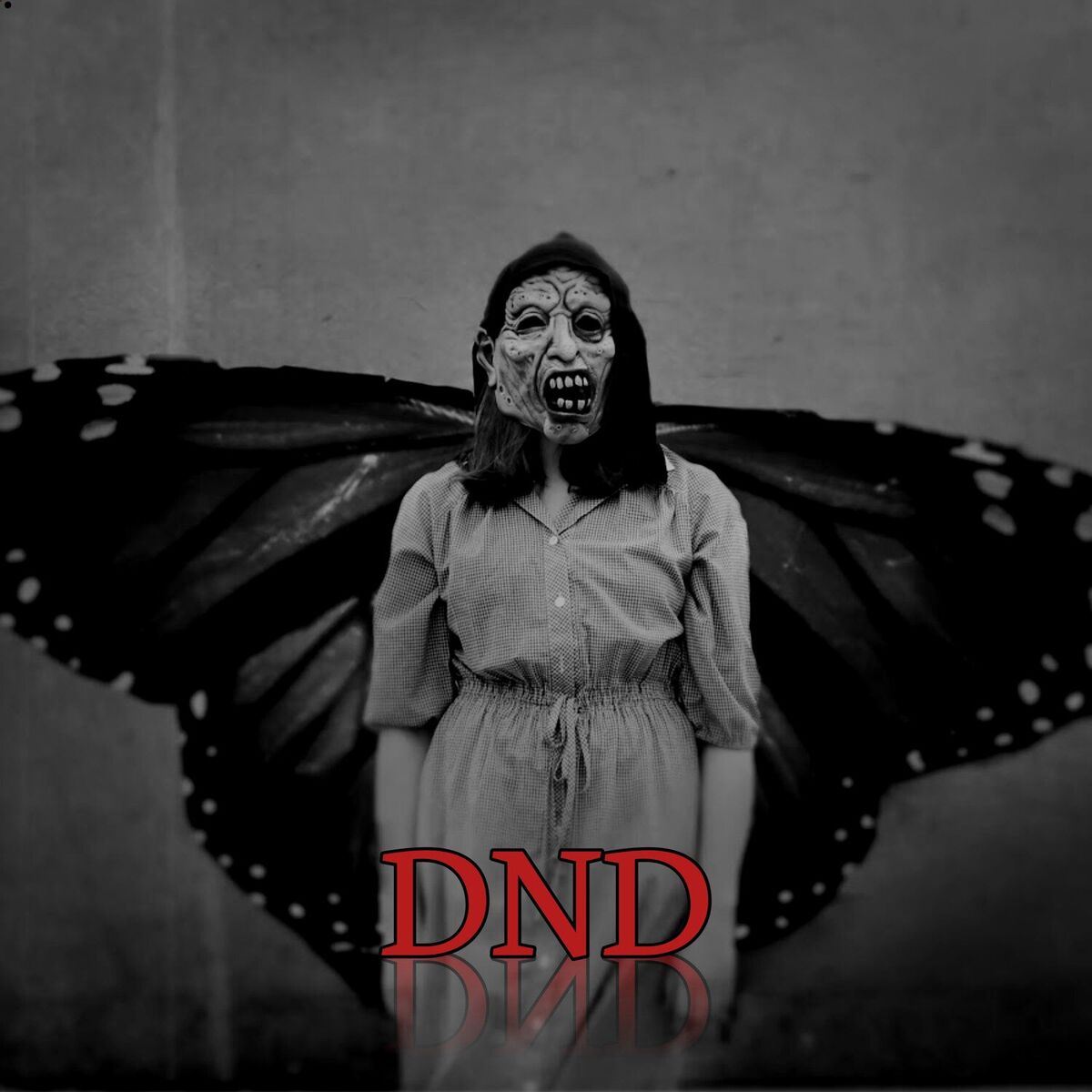 Album cover of DND