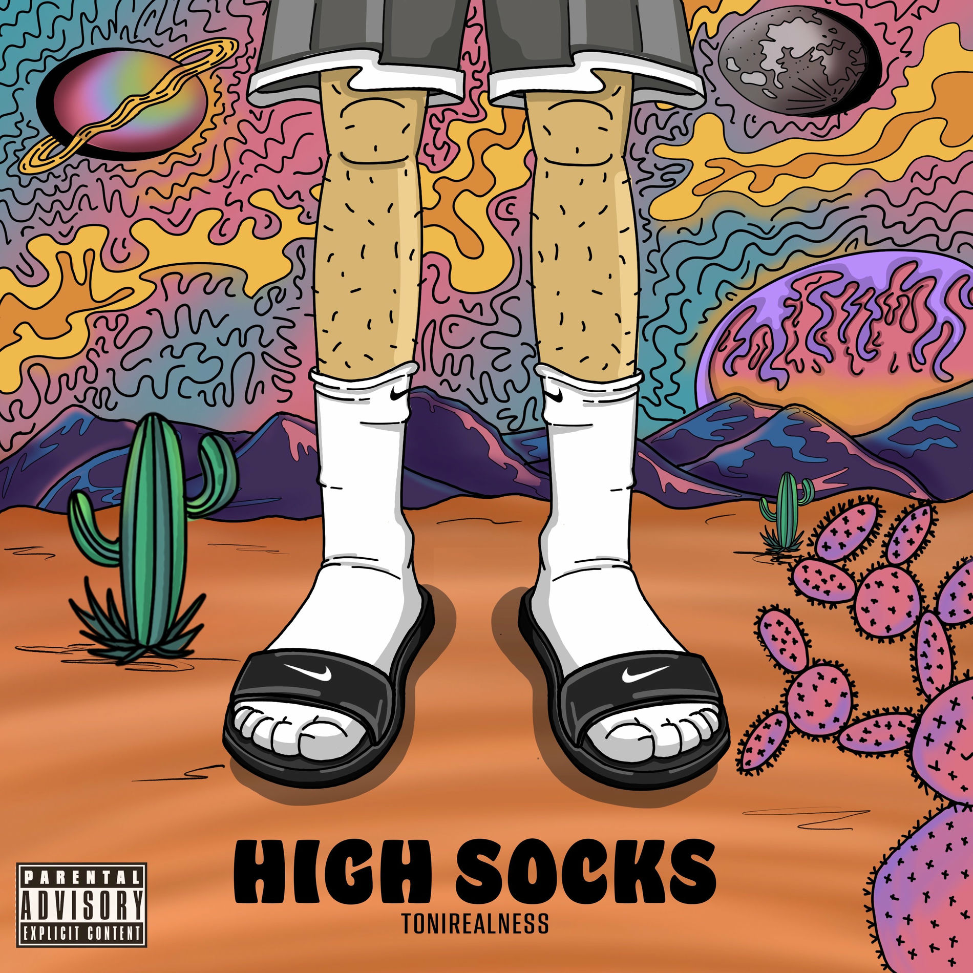 Album cover of HIGH SOCKS