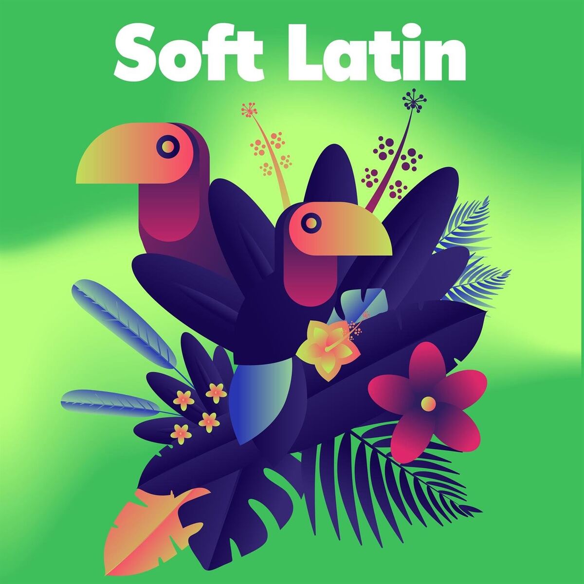 Album cover of Soft Latin