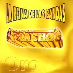 Cover of La reina de las bandas Vol. I