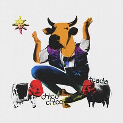 Cover of Toada