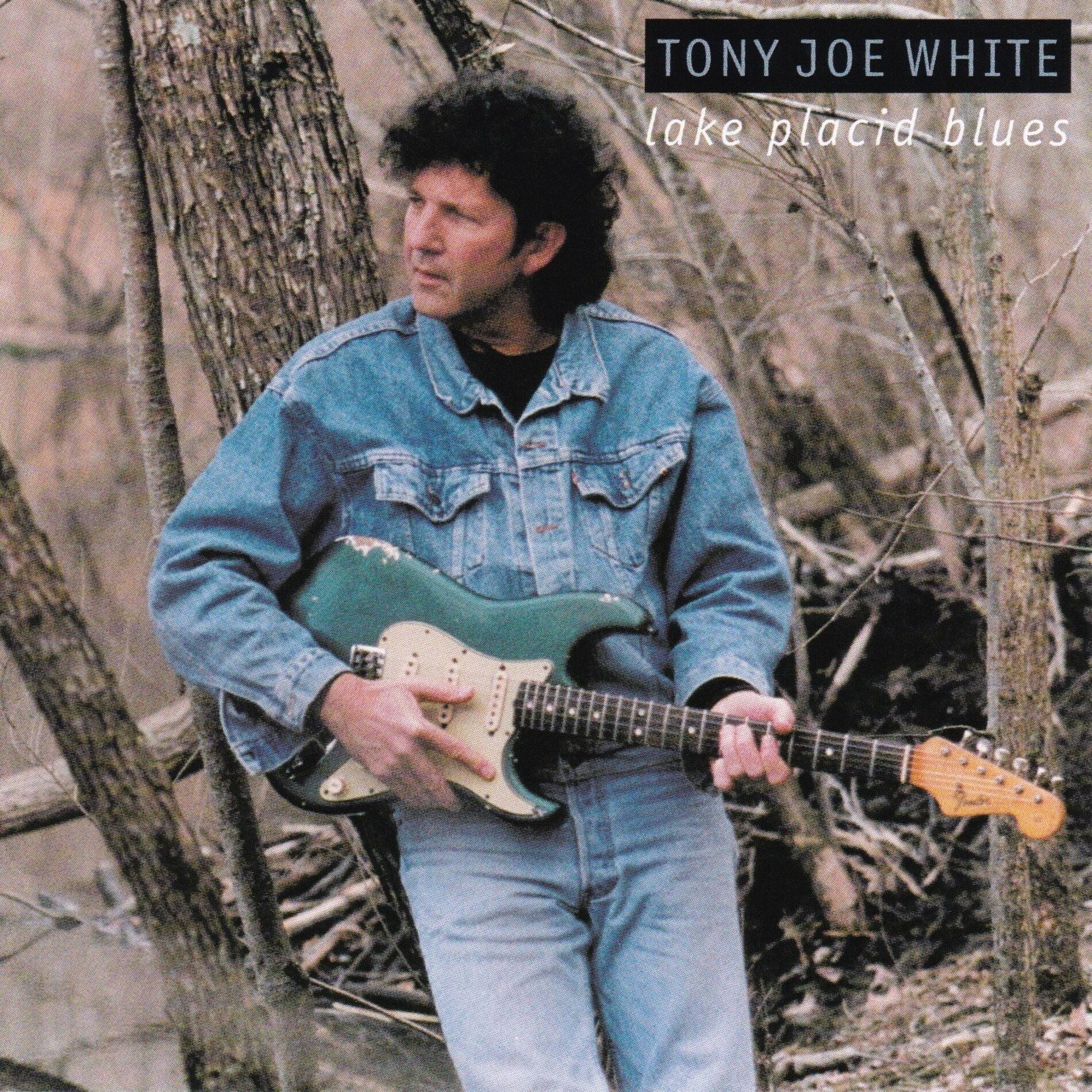 Album cover of Lake Placid Blues