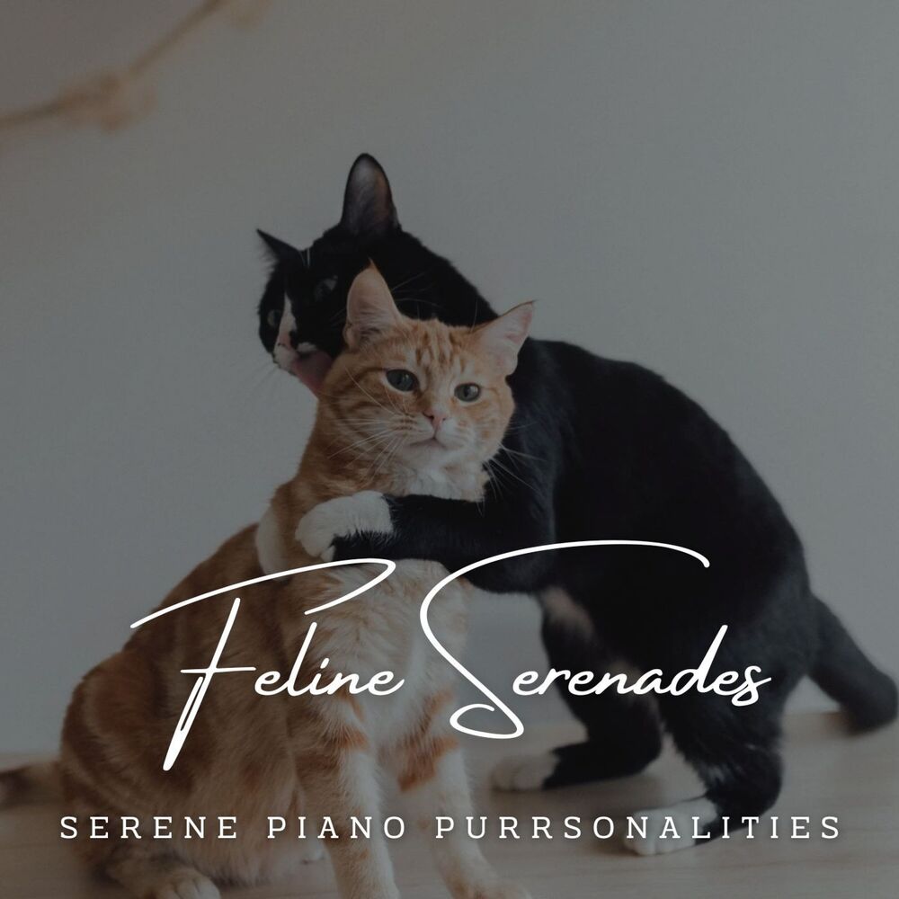 Picture of Feline Serenades: Meditative Piano for Cats' Contentment