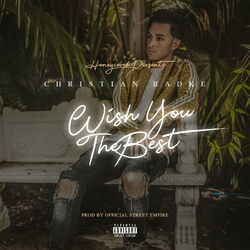 Cover of Wish You the Best