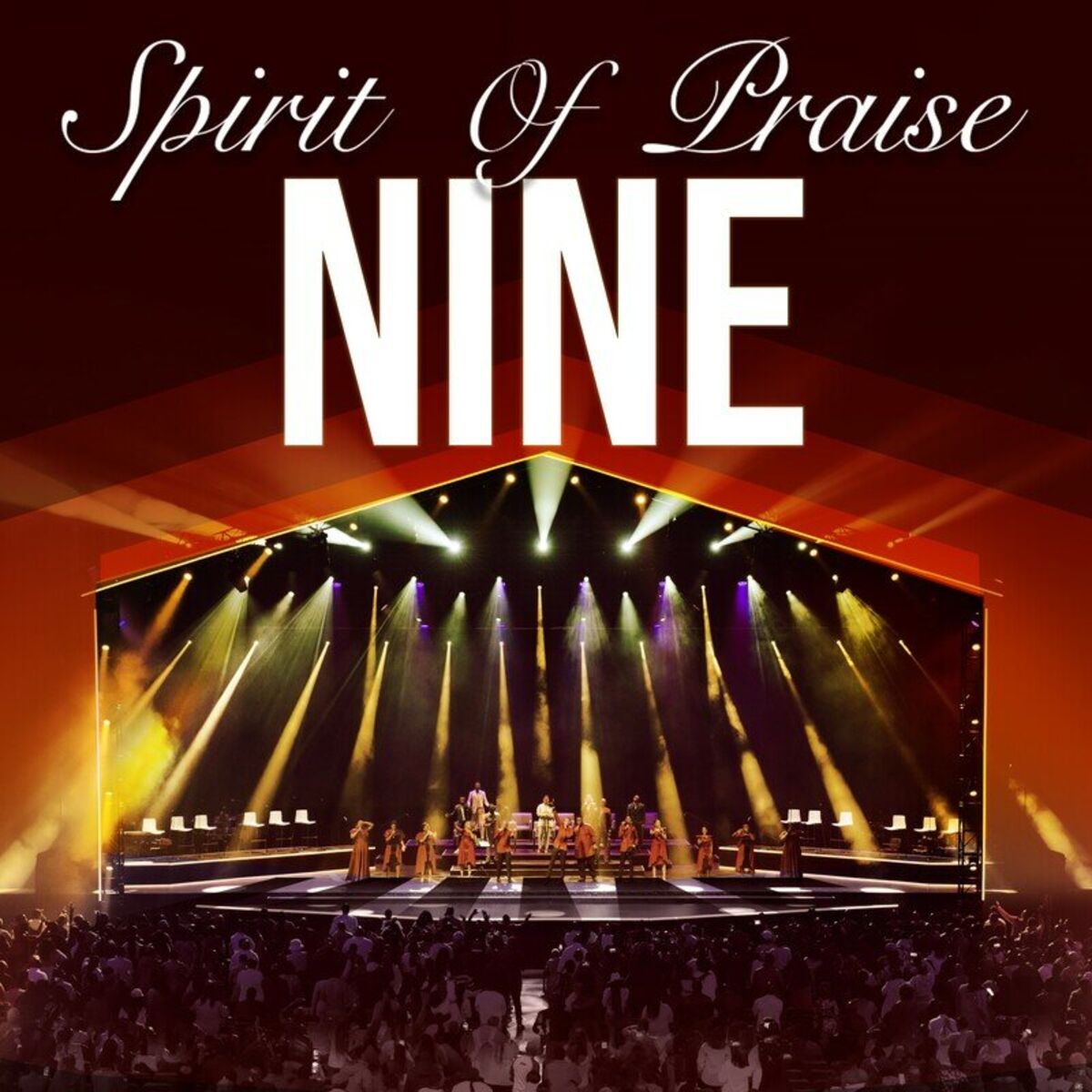 Album cover of Ngithol’ uMhlobo (Live)