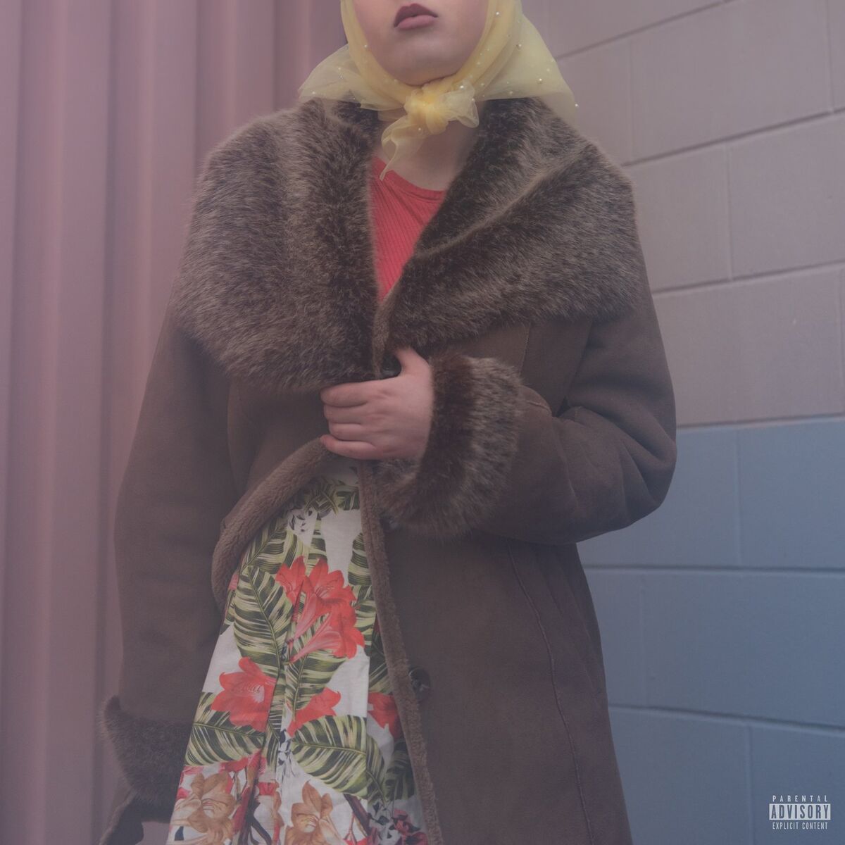 Album cover of NO !