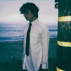 Cover of hope it lasts