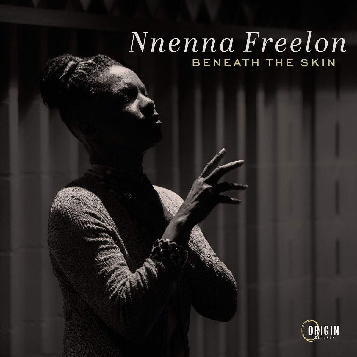 Album cover of Beneath the Skin