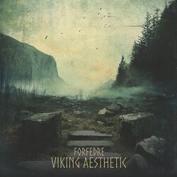 Viking Aesthetic