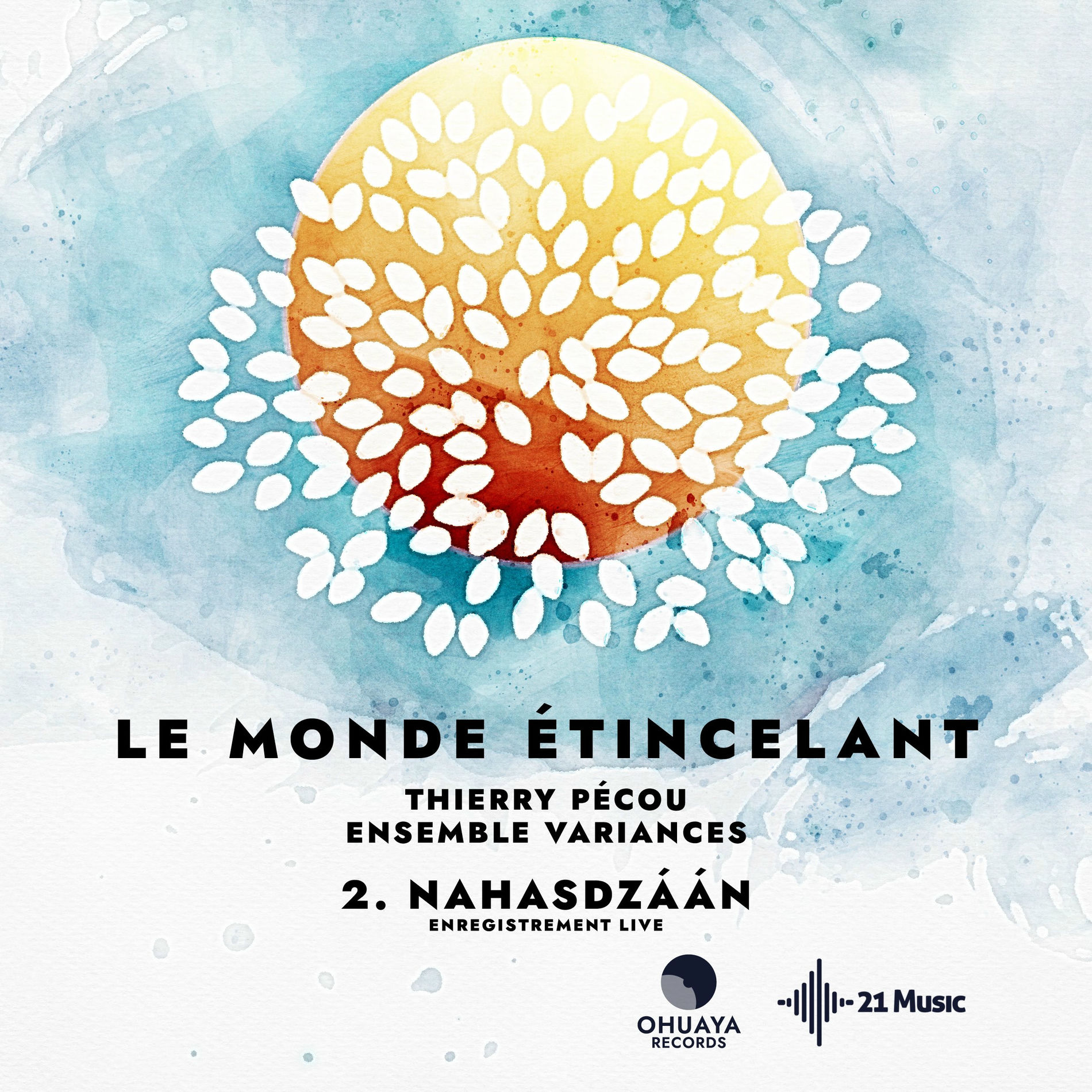 Album cover of Le Monde étincelant volet 2 : Nahasdzáán