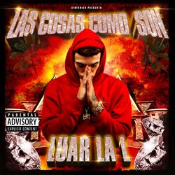 Cover of Las Cosas Como Son