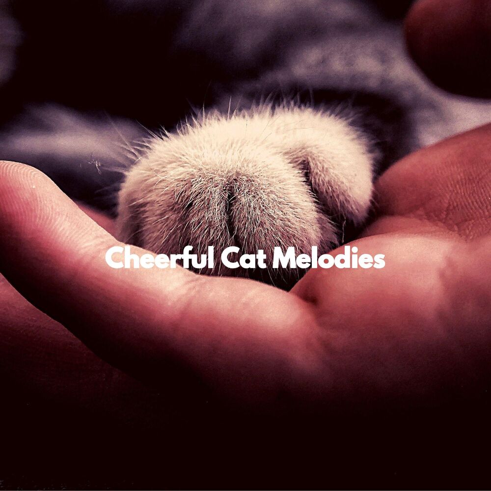 Picture of Cheerful Cat Melodies