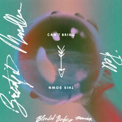 Cover of Can't Bring This Down (Blended Babies Remix)