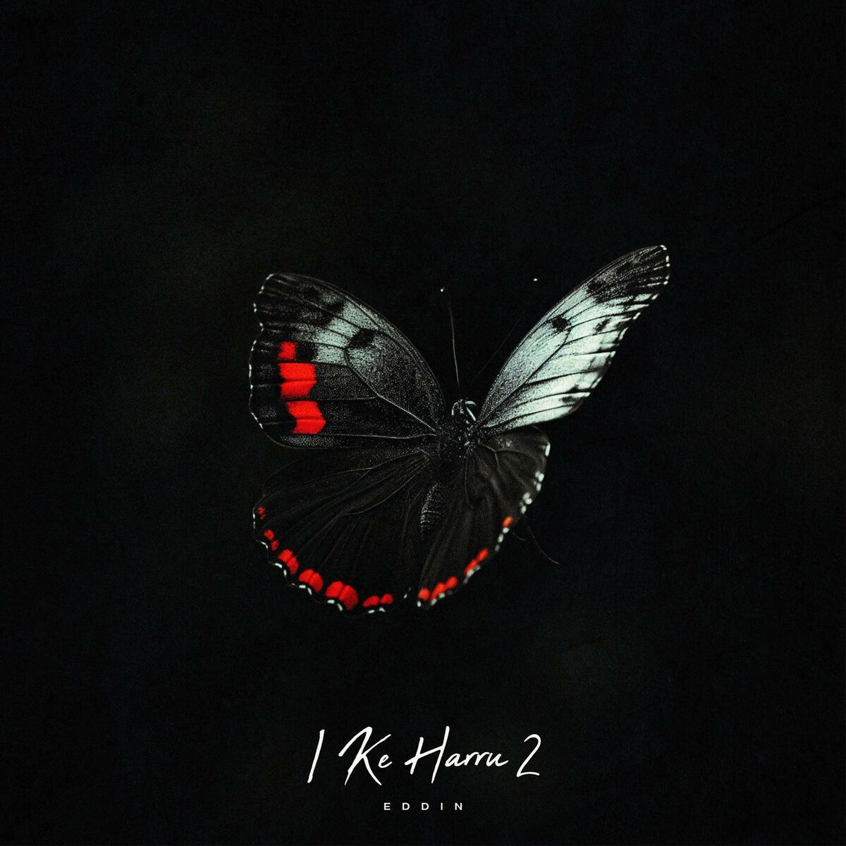 Album cover of I Ke Harru 2