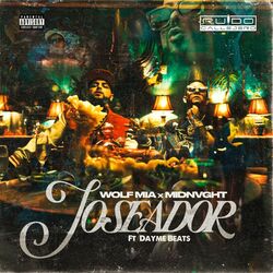 Cover of Joseador
