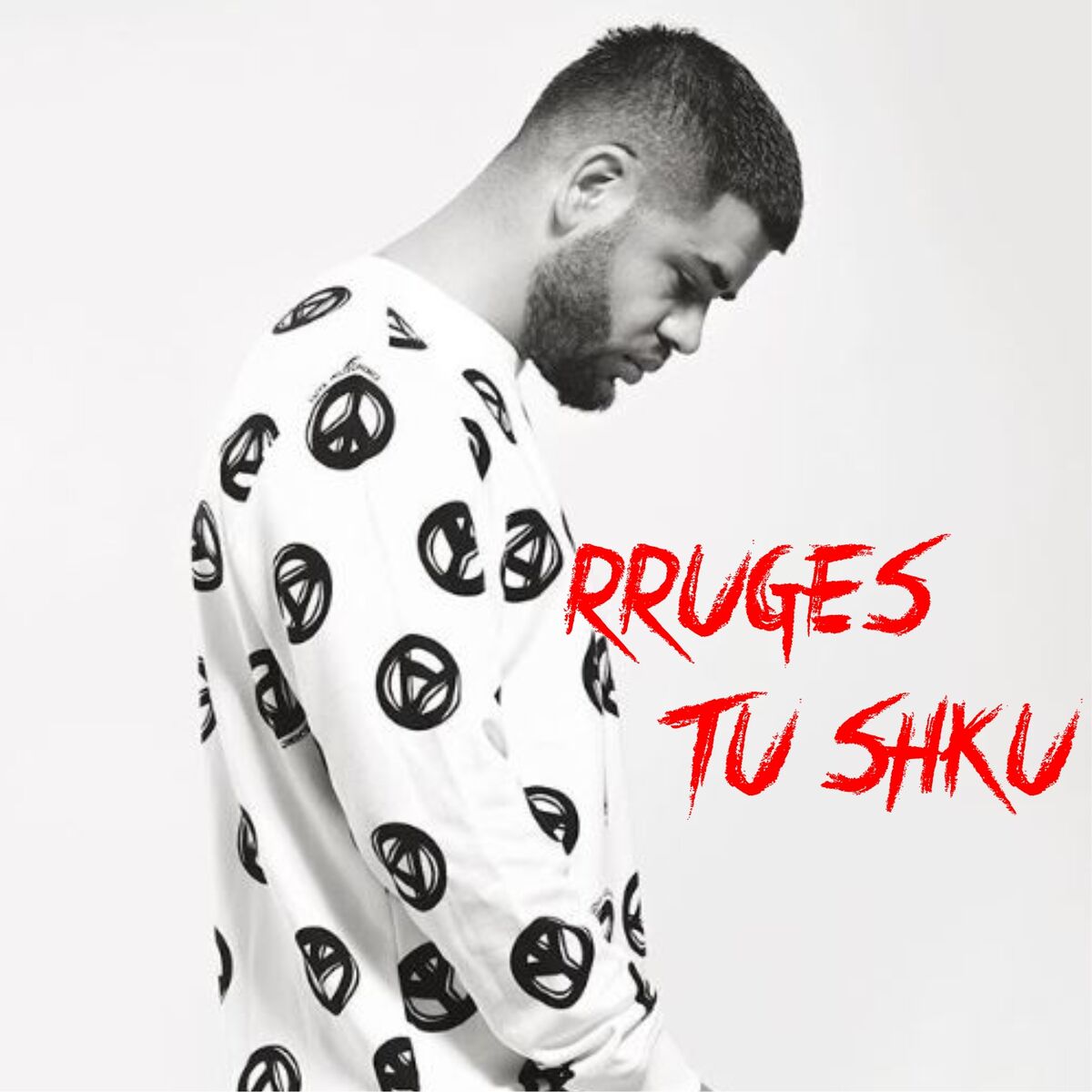 Album cover of Noizy ft. Blunt & Real - Rruges tu shku