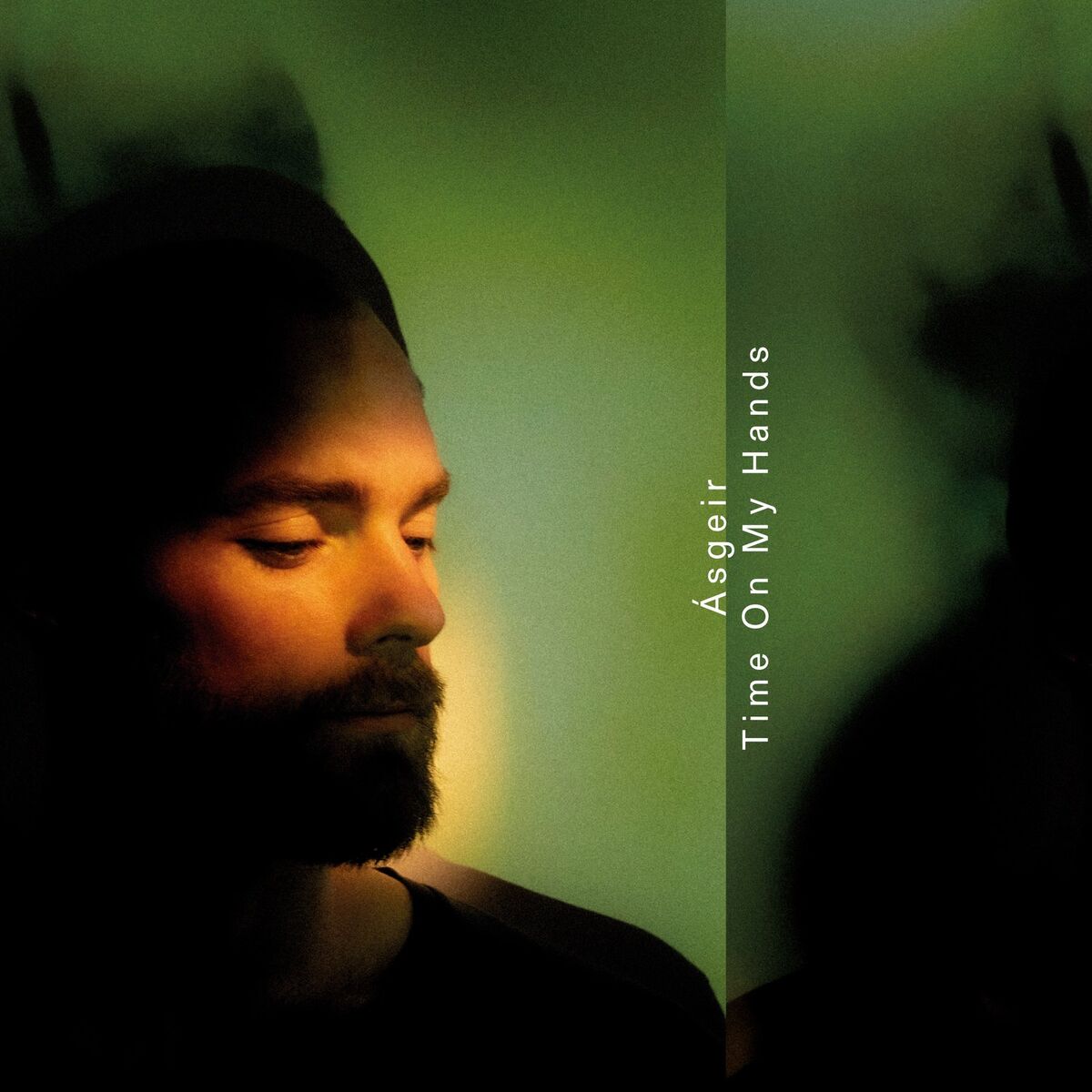 Album cover of Vibrating Walls