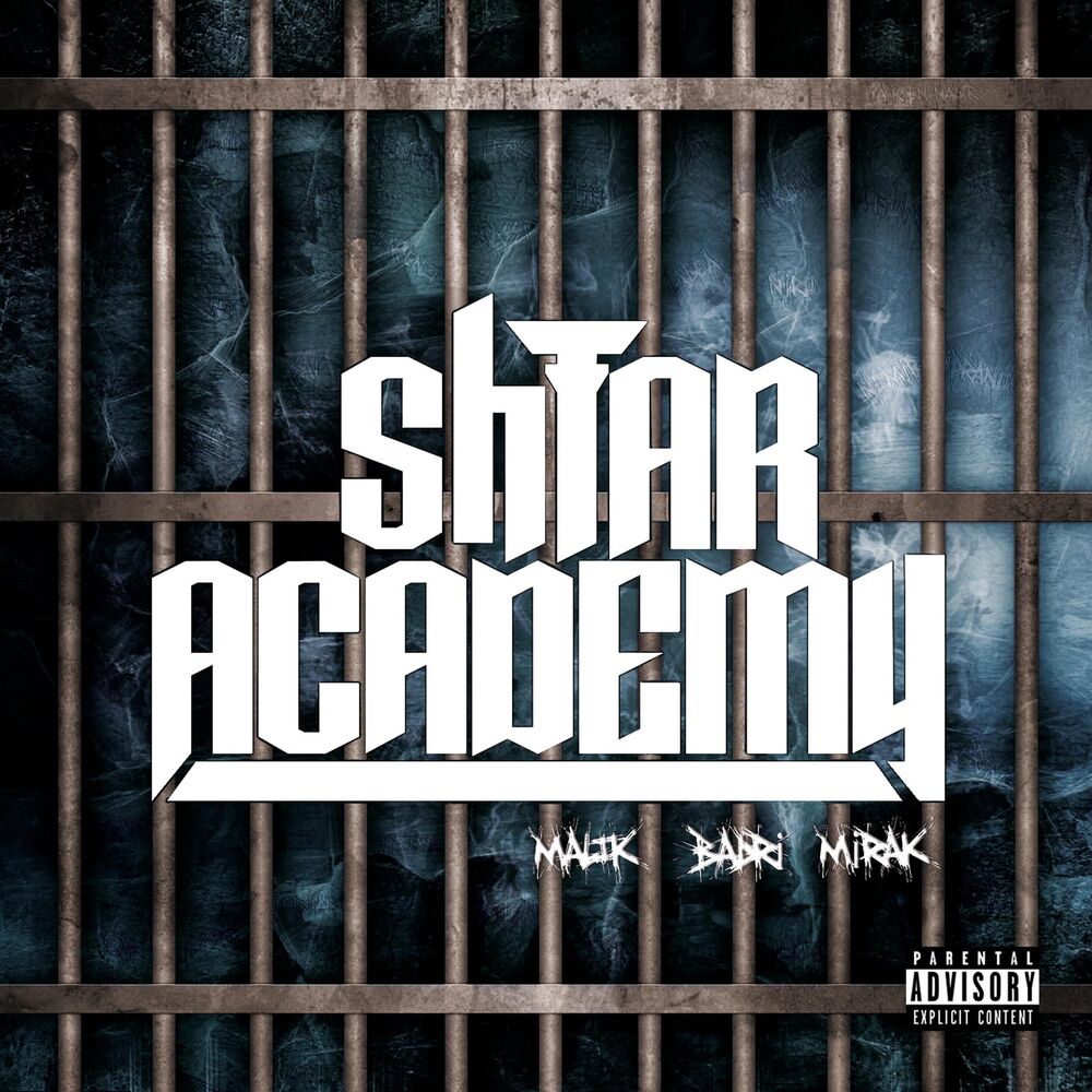 Picture of Shtar Academy