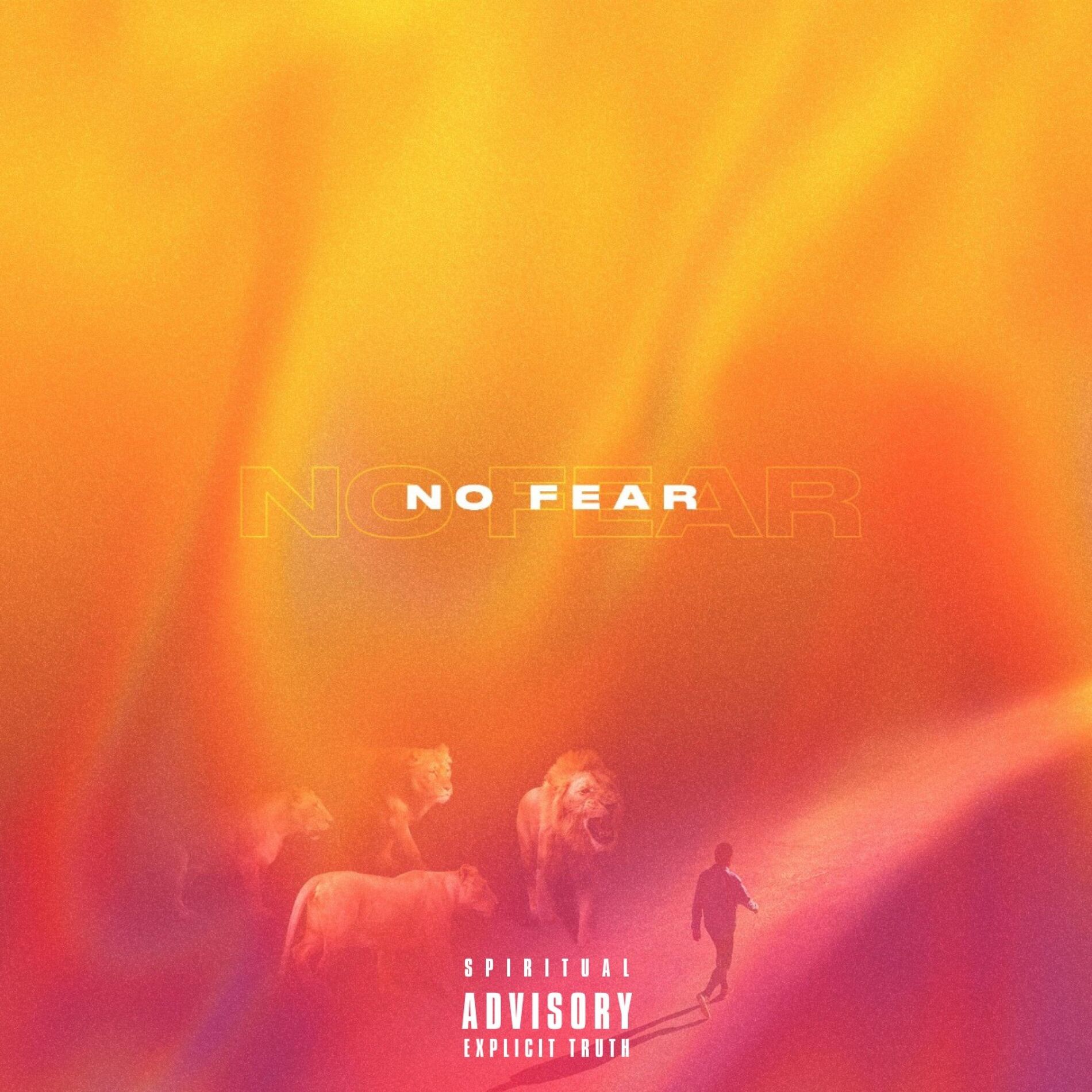 Album cover of No Fear (feat. Angeloh & Marizu)