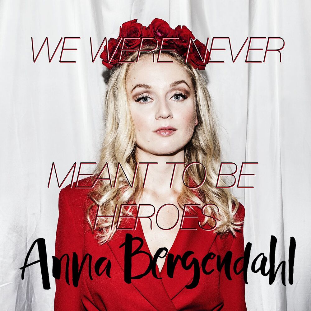 Picture of We Were Never Meant To Be Heroes