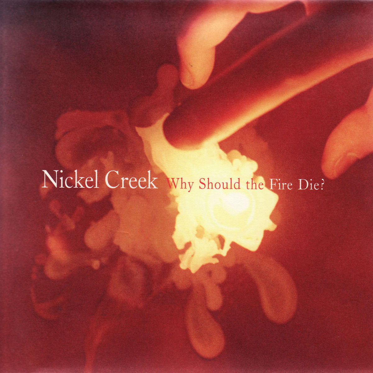 Album cover of Why Should The Fire Die?