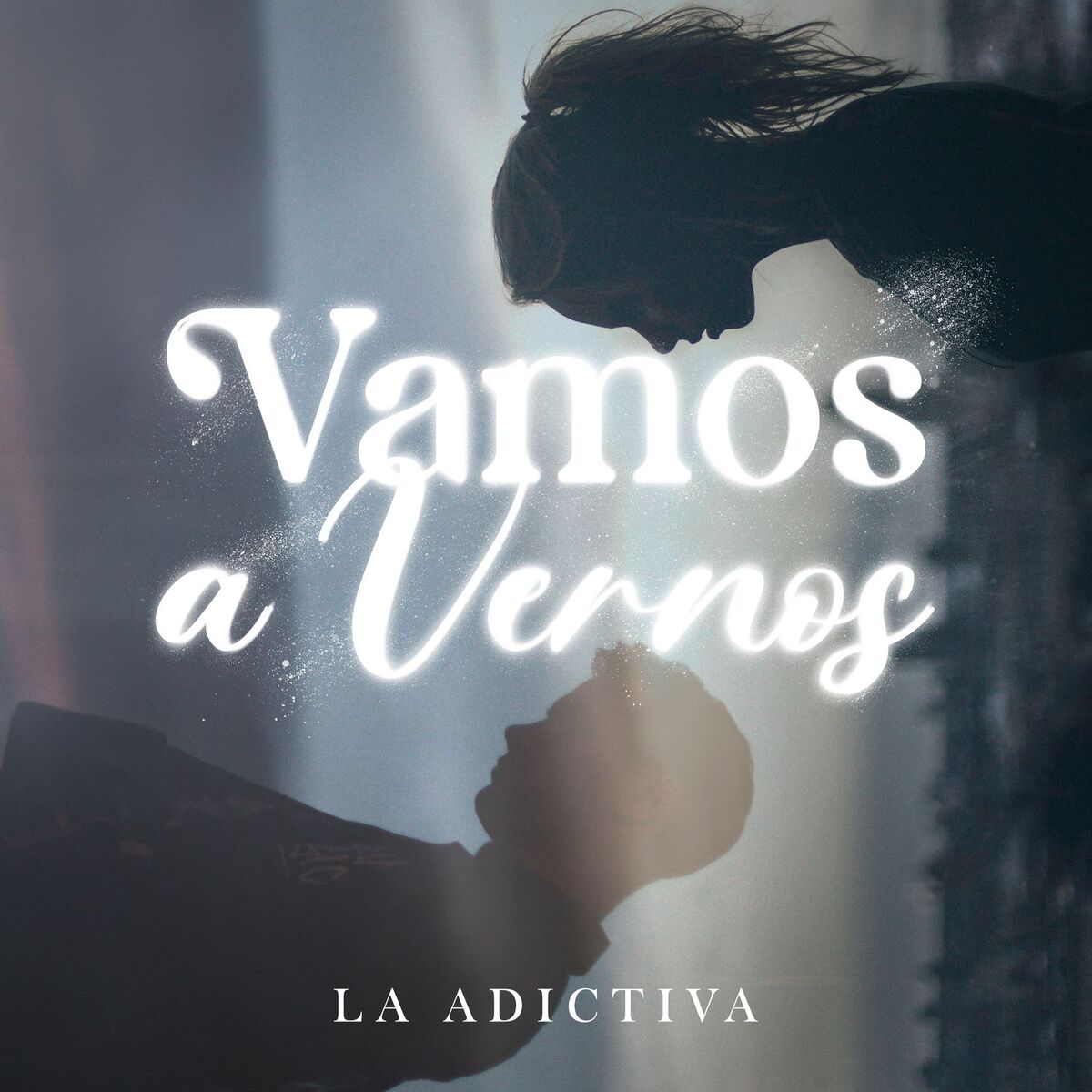 Album cover of Vamos A Vernos