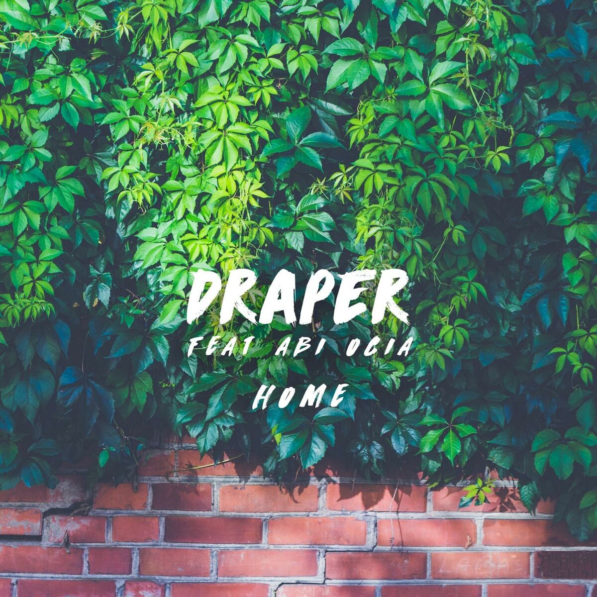 Album cover of Home