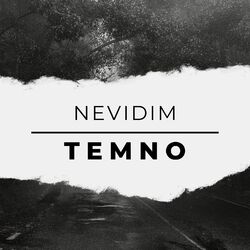 Cover of Nevidim Temno