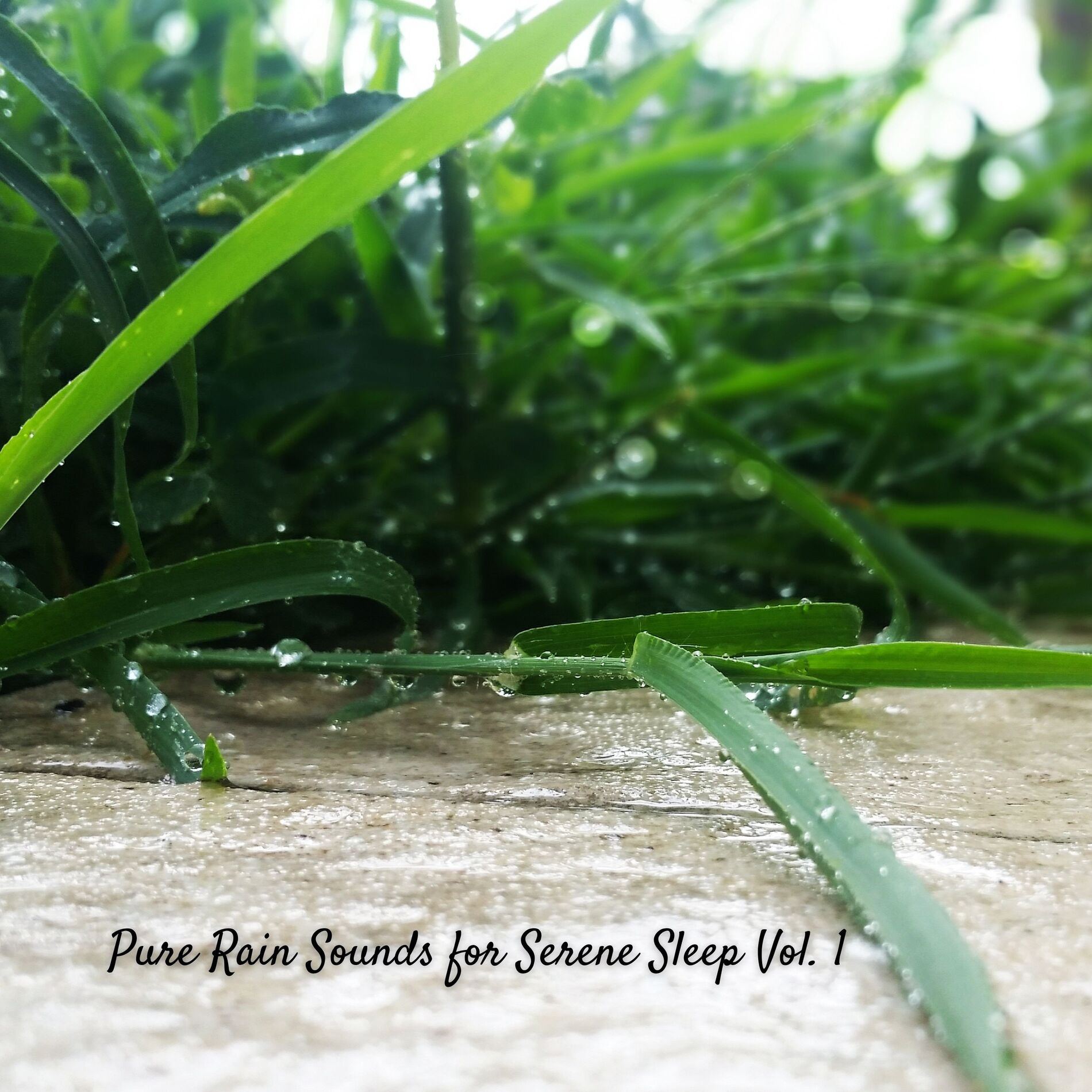 Album cover of Pure Rain Sounds for Serene Sleep Vol. 1