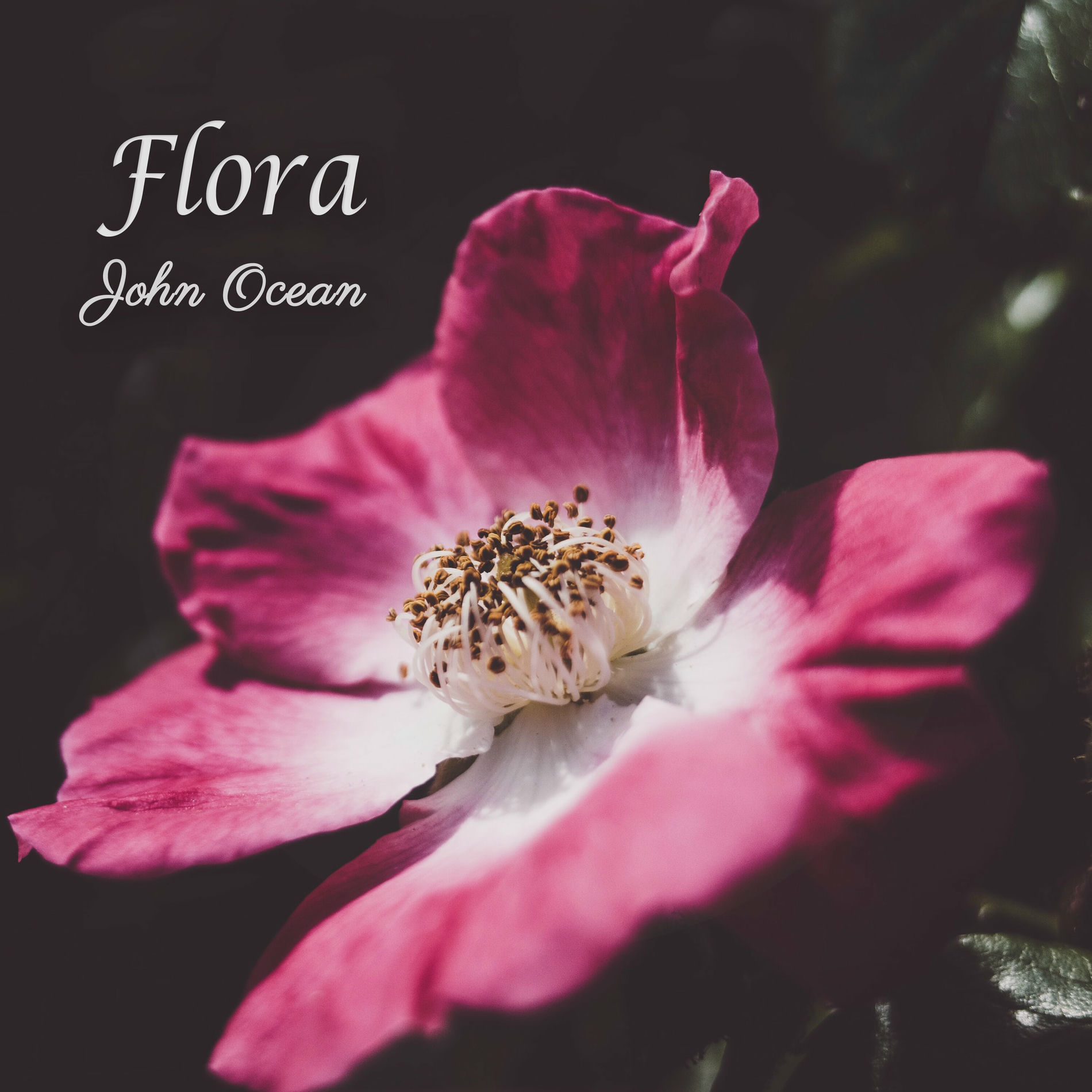 Album cover of Flora