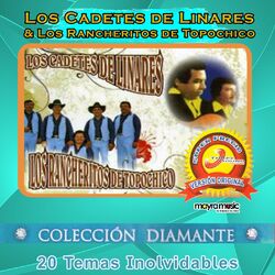Cover of 20 Temas Inolvidables