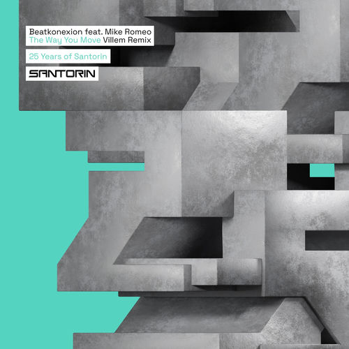 The Way You Move (Villem Remix) artwork