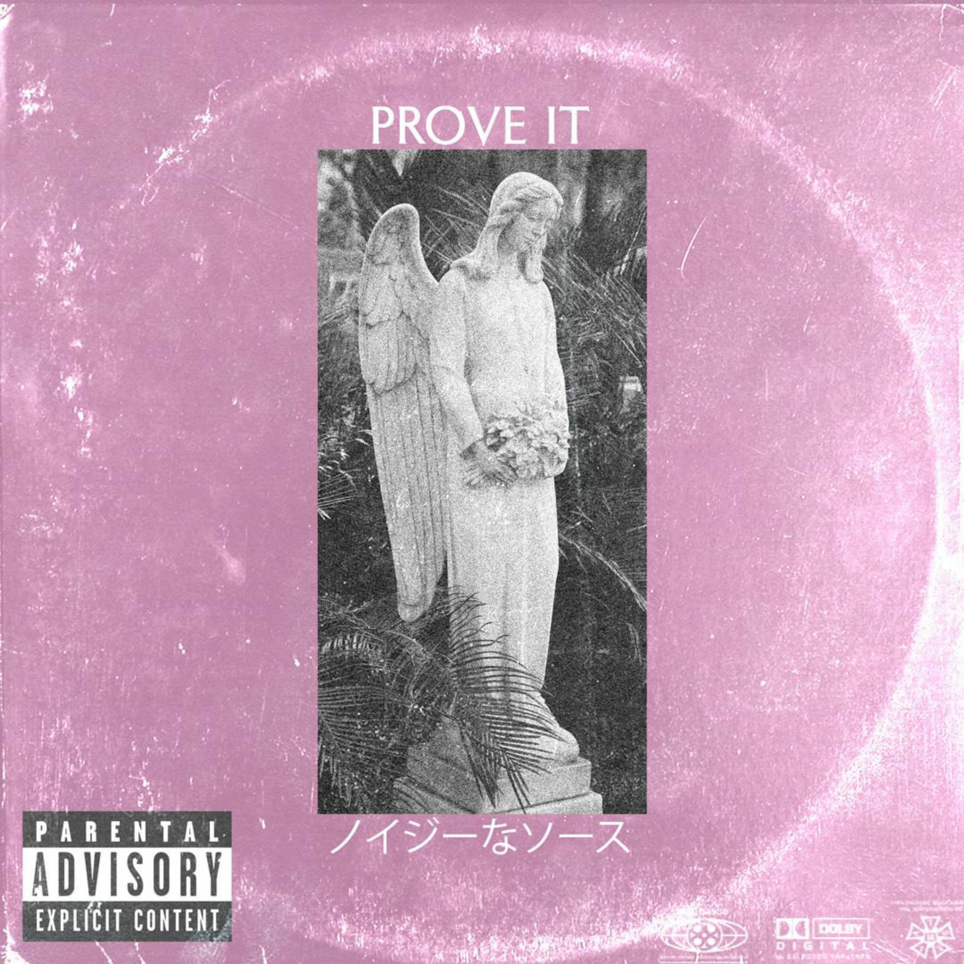 Album cover of Prove It.