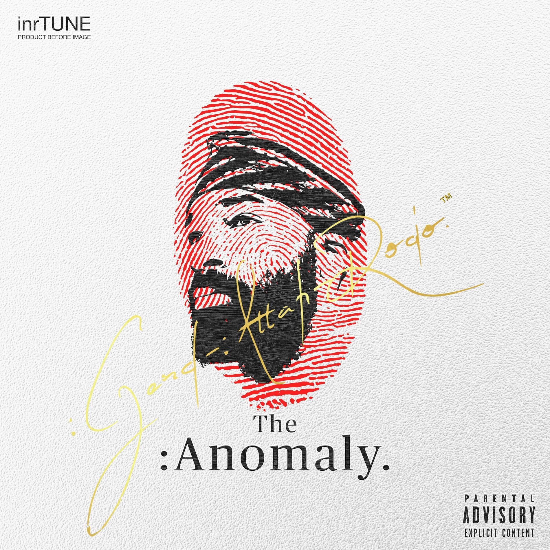 Album cover of The :Anomaly.