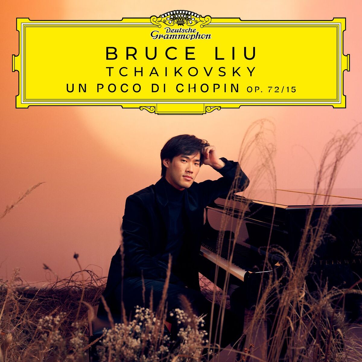 Album cover of 18 Pieces, Op. 72 : Tchaikovsky: 18 Pieces, Op. 72: No. 15, Un poco di Chopin