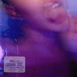 Cover of Undo Me