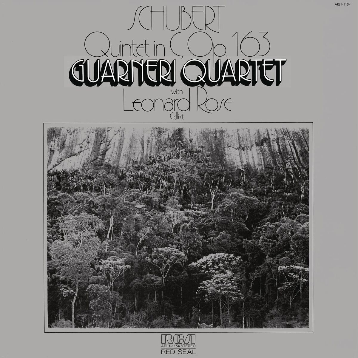 Album cover of Schubert: String Quintet in C Major, D. 956: I. Allegro ma non troppo