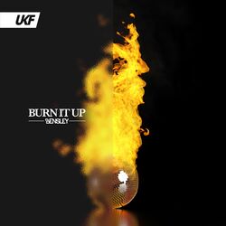Cover of Burn It Up