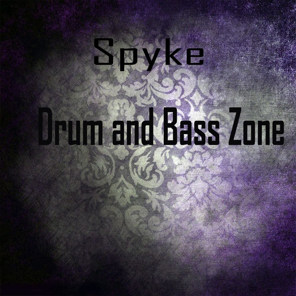 Picture of Drum and Bass Zone
