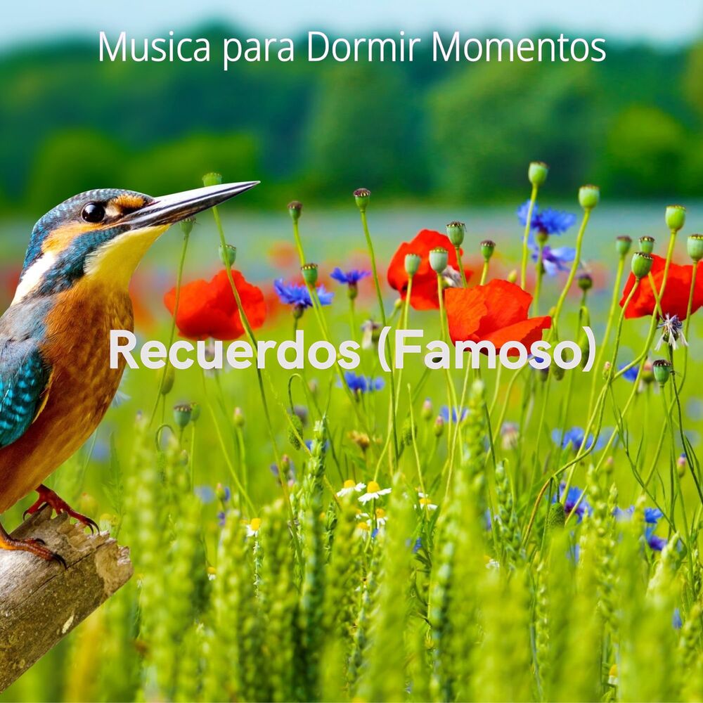 Picture of Recuerdos (Famoso)