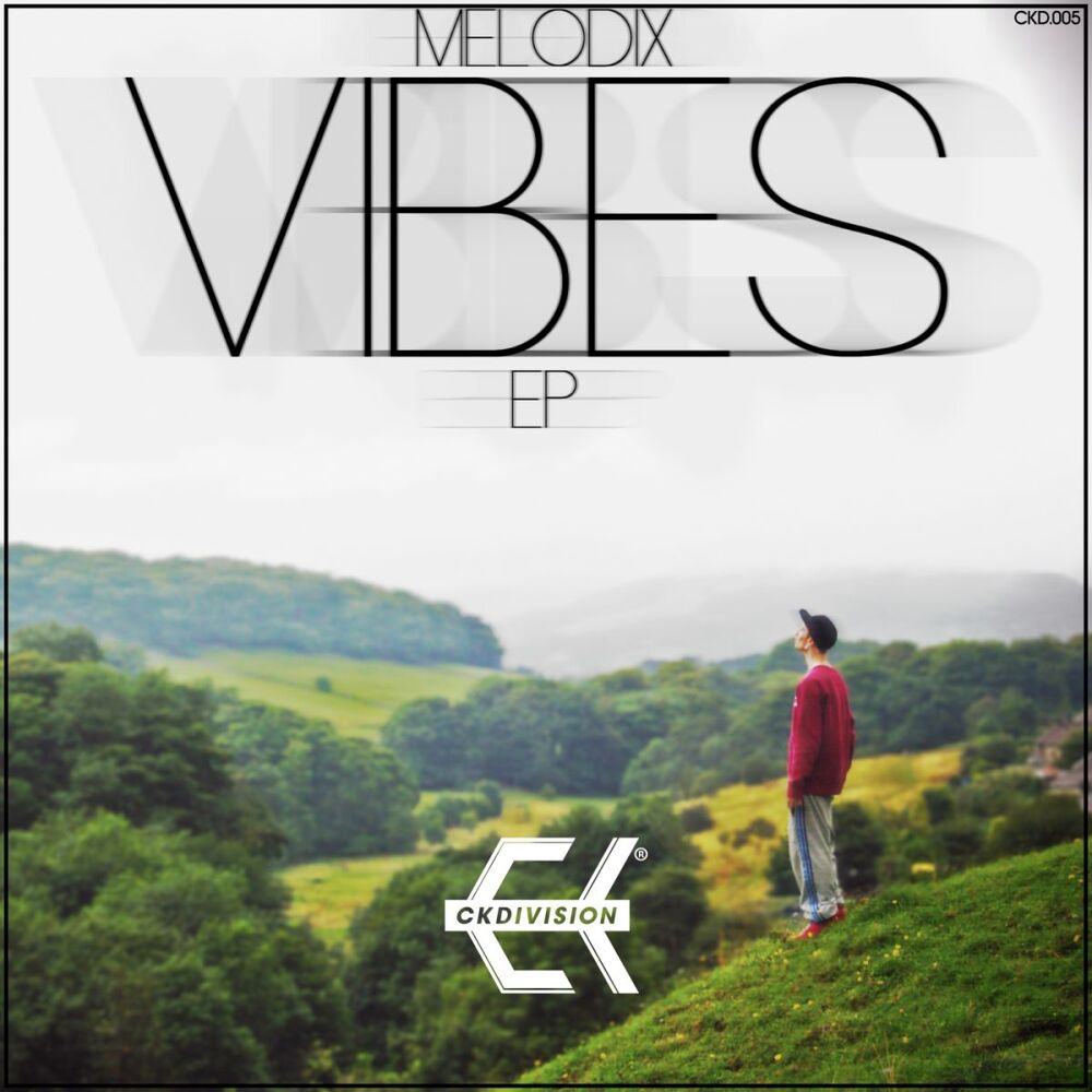 Picture of Vibes EP