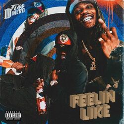 Cover of Feelin Like
