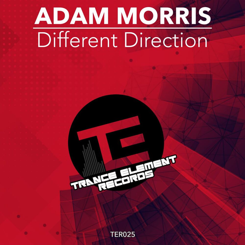Picture of Different Direction