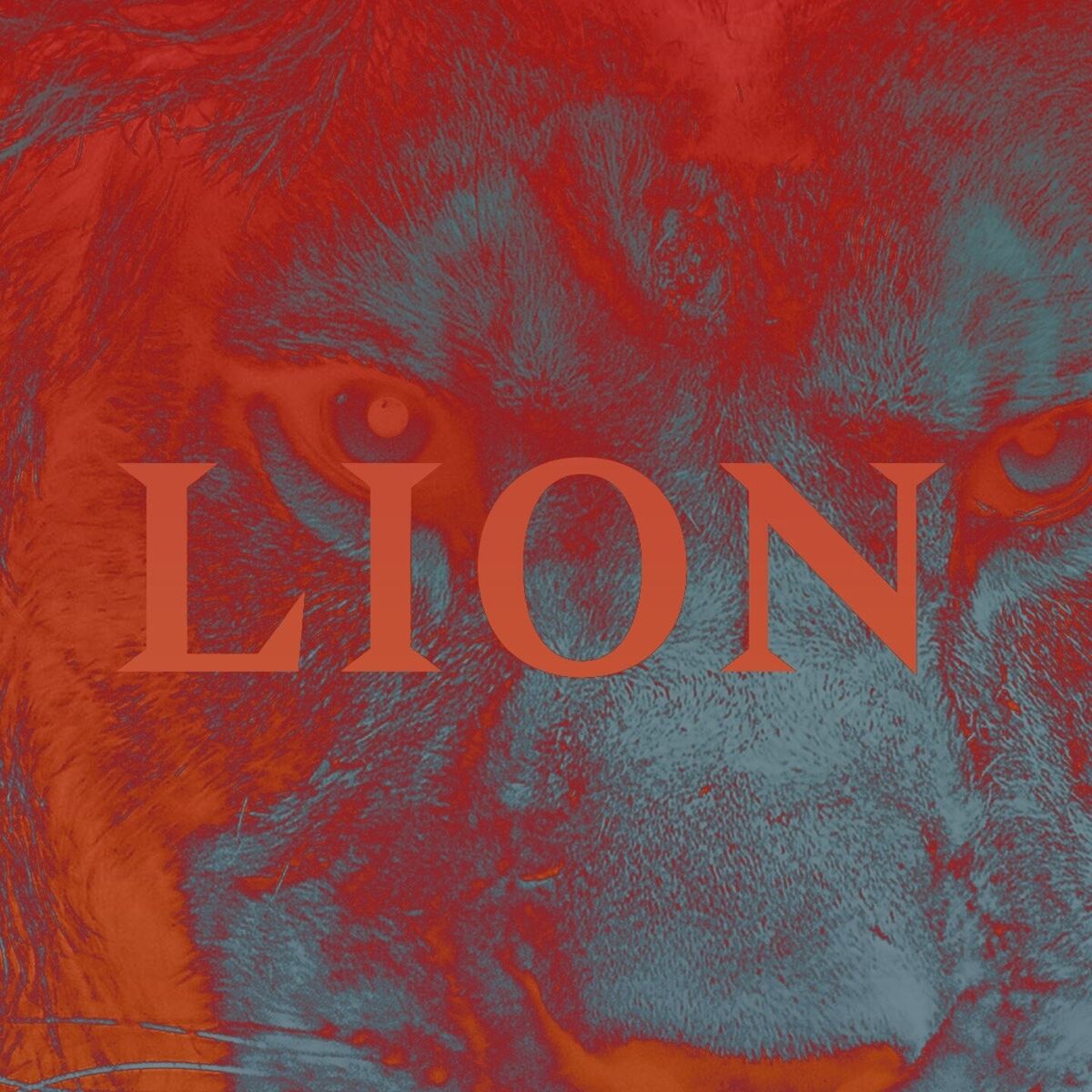 Album cover of Lion