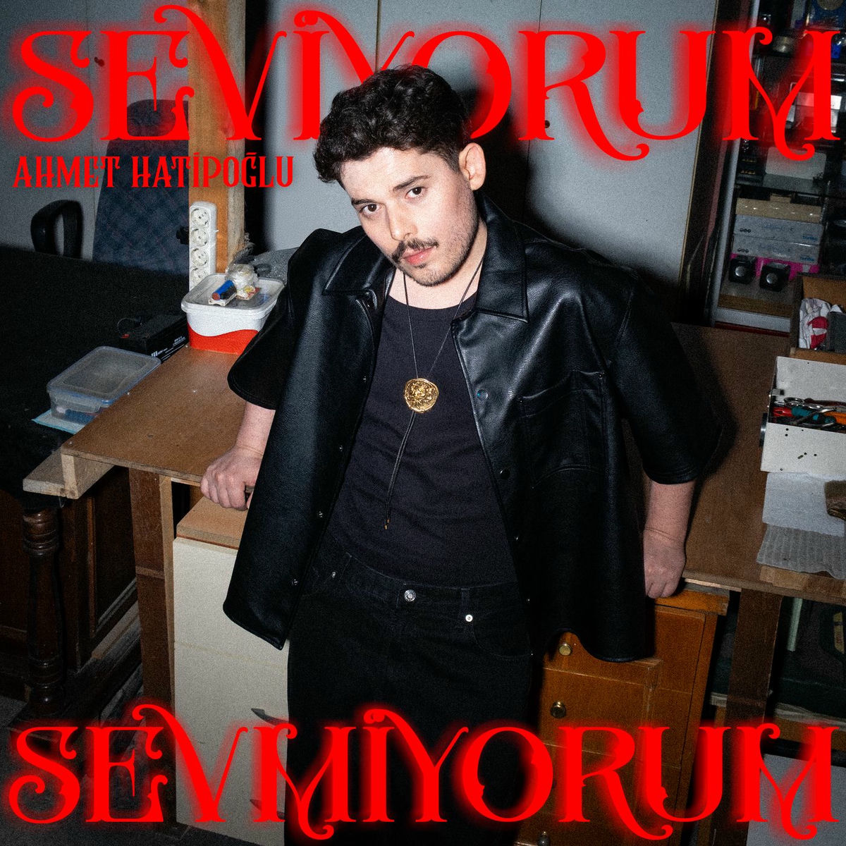 Album cover of Seviyorum Sevmiyorum
