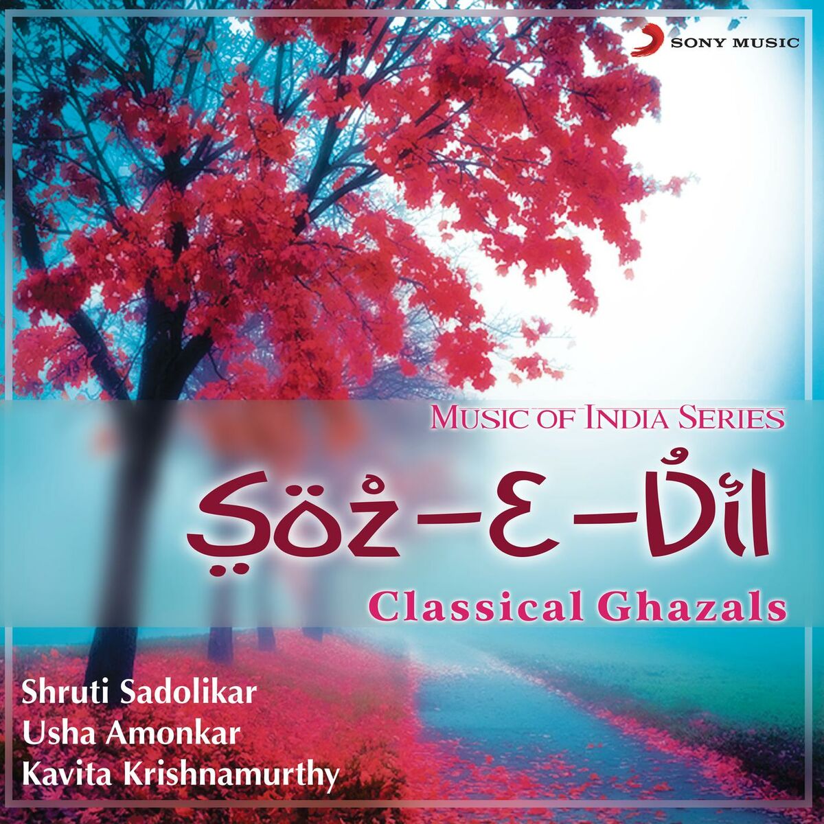 Album cover of Soz-E-Dil