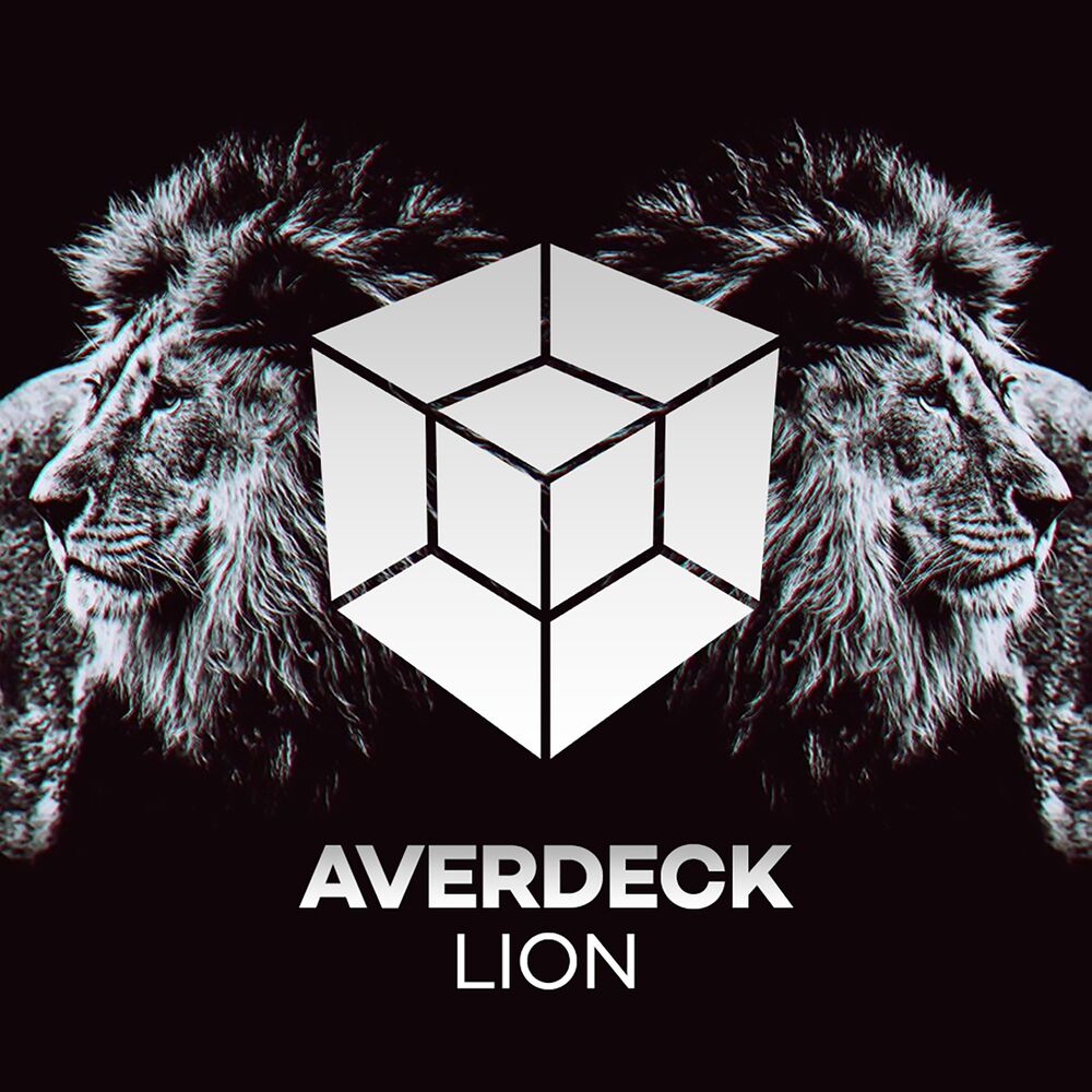 Picture of Lion