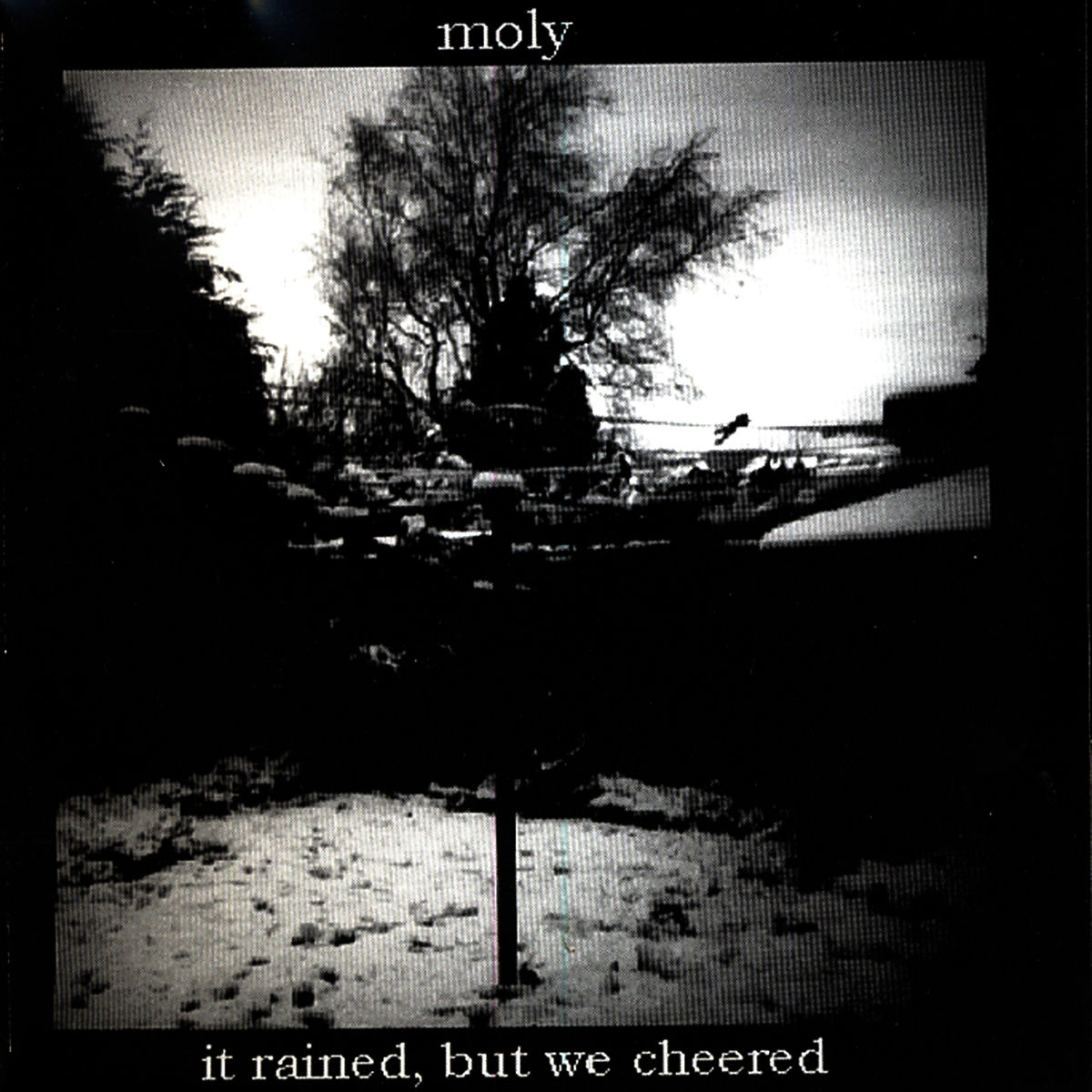 洋楽 moly.      It Rained, But We Cheered moly. It Rained, But We Cheered