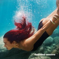 Cover of Radical Optimism (Extended Versions)